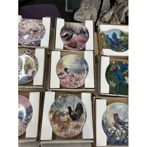 131 - Selection of Wedgwood Game Birds of Britain collectors plates and Wedgwood Fragile Paradise collecto... 