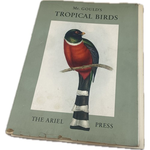 79 - Mr Gould's Tropical Birds The Ariel Press 1964 Large Book