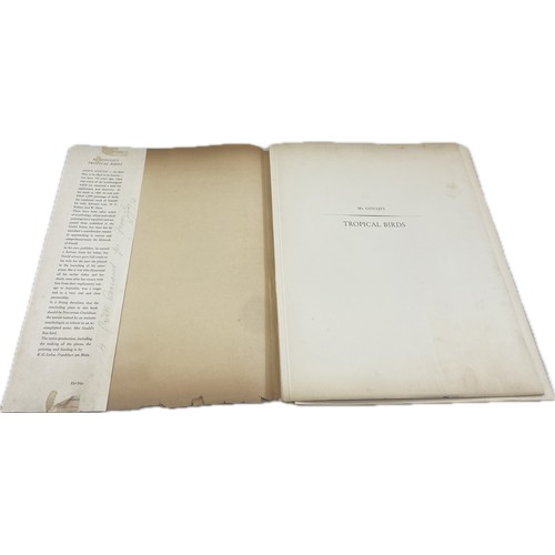 79 - Mr Gould's Tropical Birds The Ariel Press 1964 Large Book