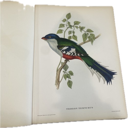 79 - Mr Gould's Tropical Birds The Ariel Press 1964 Large Book