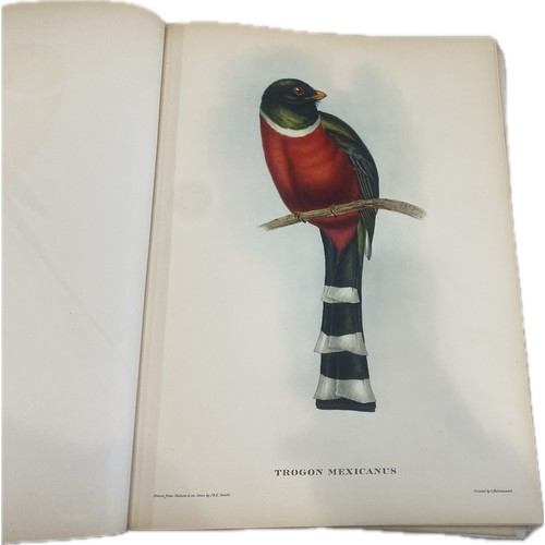 79 - Mr Gould's Tropical Birds The Ariel Press 1964 Large Book