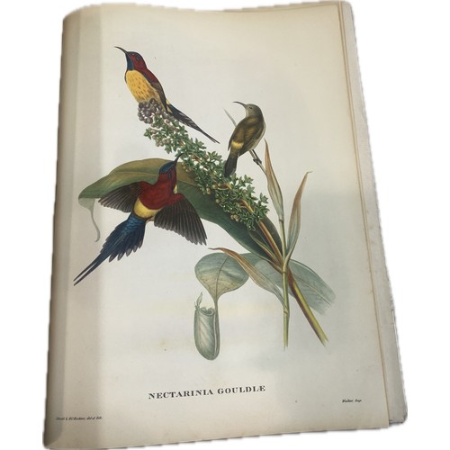 79 - Mr Gould's Tropical Birds The Ariel Press 1964 Large Book