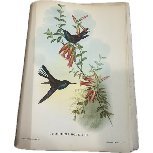 79 - Mr Gould's Tropical Birds The Ariel Press 1964 Large Book