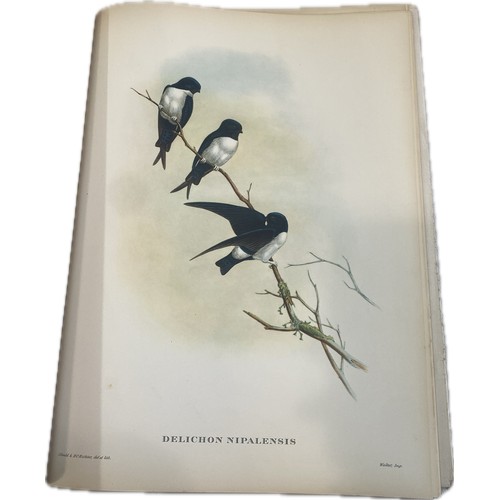 79 - Mr Gould's Tropical Birds The Ariel Press 1964 Large Book