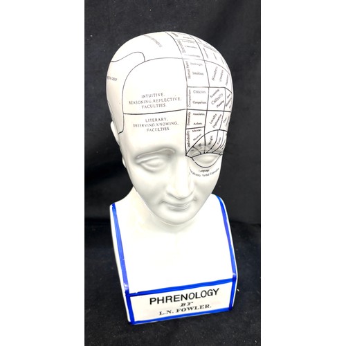7 - Phrenology head by L N Fowler, approximate height 12.5 inches
