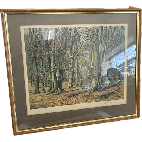 Lot 30        