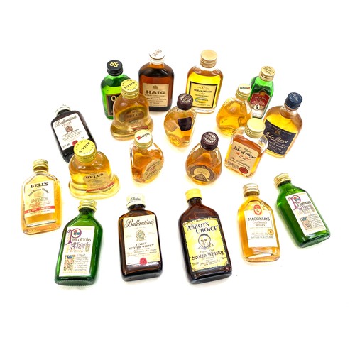 Lot 12        