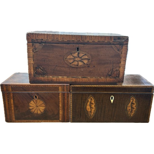 Lot 20        