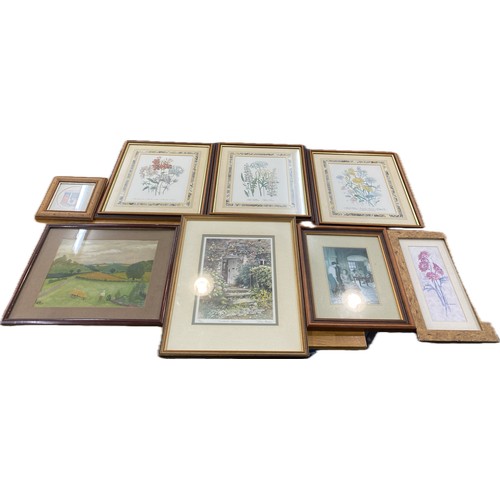 Lot 28        
