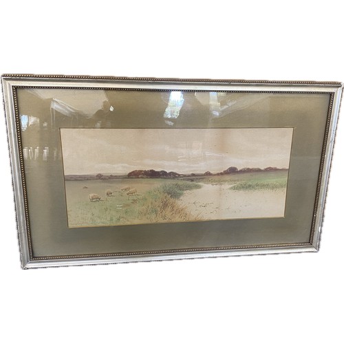 Lot 43        