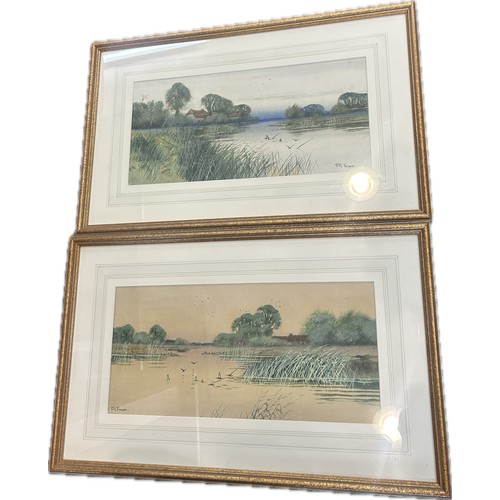 Lot 50        