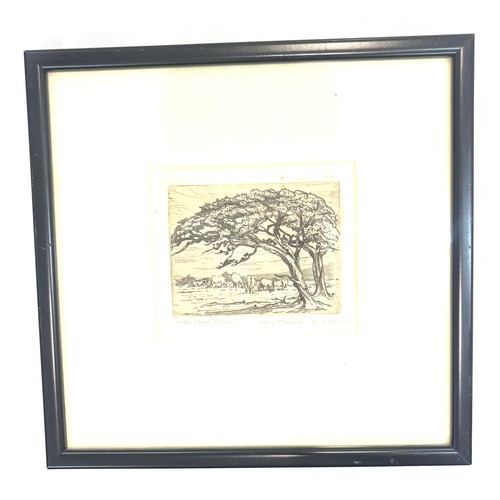 Lot 13        