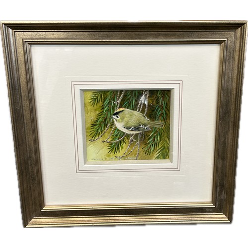 Lot 26        