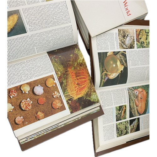 39 - Three volumes of 