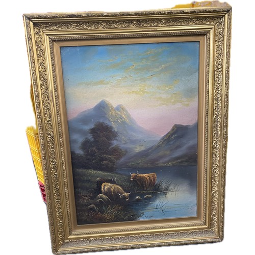 Lot 49        