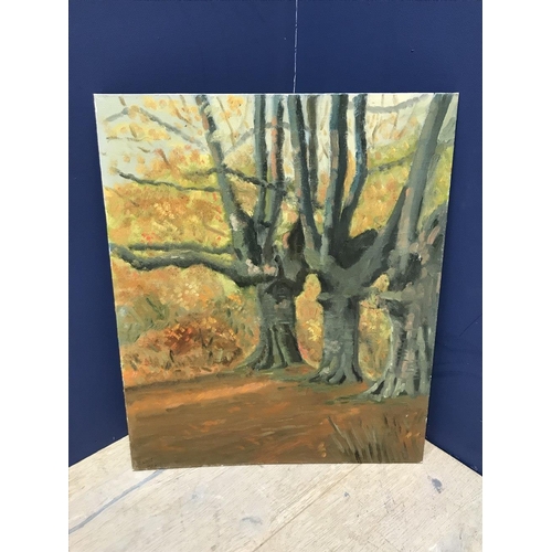 Lot 577       