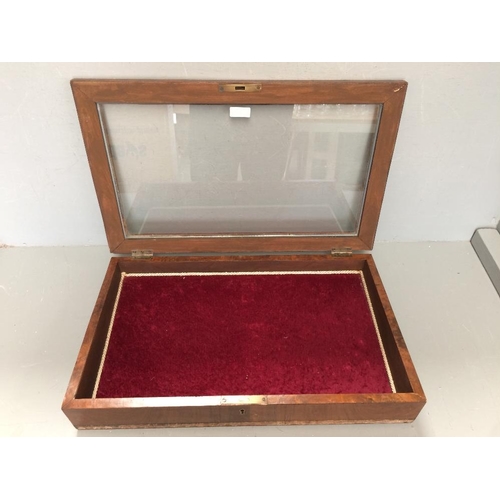 233 - Victorian walnut display case with red velvet interior