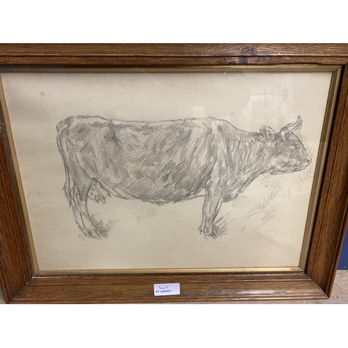 145 - 2 framed and glazed pictures of cattle, in pencil and pastel