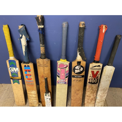 244 - Cricket  bag with various bats (non English Willow, all worn), various gloves, cricket spikes etc,  ... 