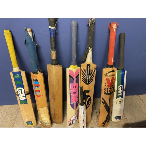 244 - Cricket  bag with various bats (non English Willow, all worn), various gloves, cricket spikes etc,  ... 