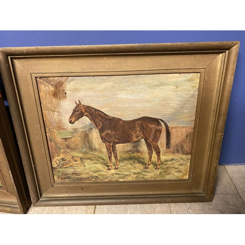 35 - Pair of oil on canvas, Hunter in Stable, Hunter at Grass, signed W Wasdell Trickett 1923 & 1929 (con... 