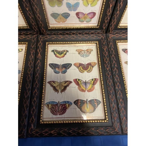 64 - Good set of 8 modern framed and glazed modern prints of butterflies, overall including frame 35 x 26... 