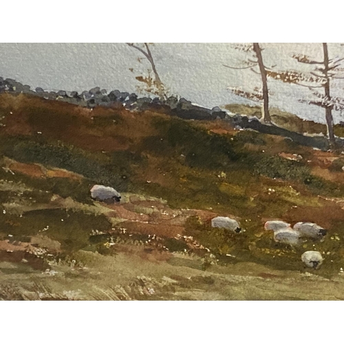 75 - FRANK EGGINTON (1908-1990), Watercolour, Titled, Near Oughterard, Co Mayo, signed lower right, 37 x ... 