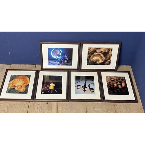 428 - The famous Roux Family Chefs memorabilia: Six framed and glazed photographs if mushrooms 39cm x 31cm... 