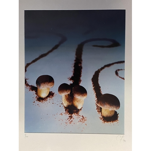 428 - The famous Roux Family Chefs memorabilia: Six framed and glazed photographs if mushrooms 39cm x 31cm... 