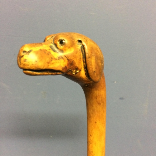 228 - Small walking cane, with the top figured as a dogs head, with eyes