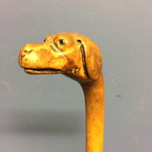 228 - Small walking cane, with the top figured as a dogs head, with eyes