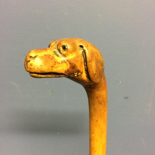 228 - Small walking cane, with the top figured as a dogs head, with eyes