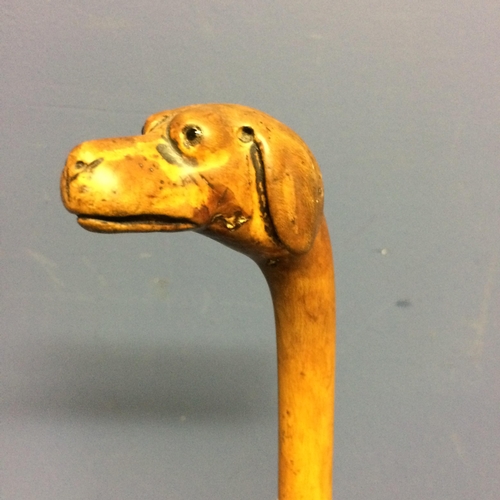 228 - Small walking cane, with the top figured as a dogs head, with eyes