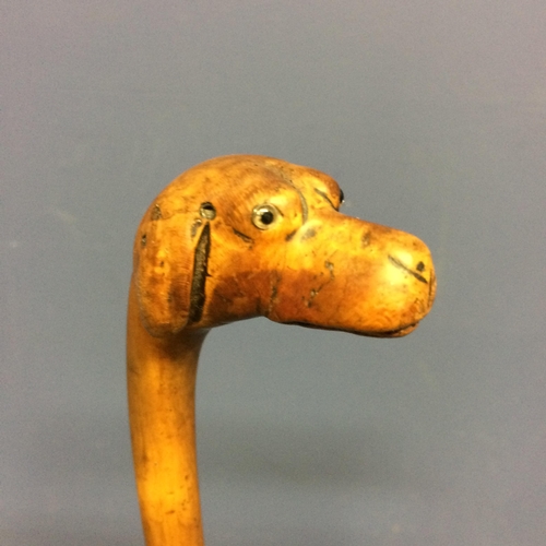 228 - Small walking cane, with the top figured as a dogs head, with eyes