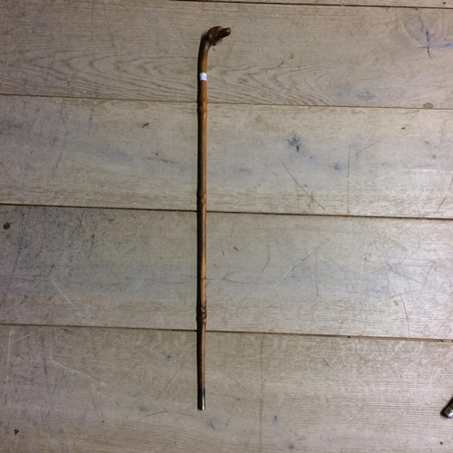 228 - Small walking cane, with the top figured as a dogs head, with eyes