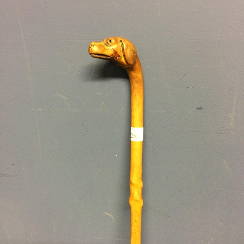 228 - Small walking cane, with the top figured as a dogs head, with eyes