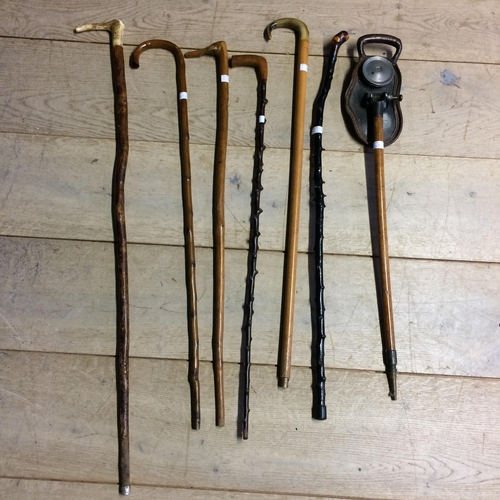 231 - Quantity of walking canes, shooting stick and horn handled cane  (7)