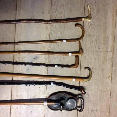 231 - Quantity of walking canes, shooting stick and horn handled cane  (7)