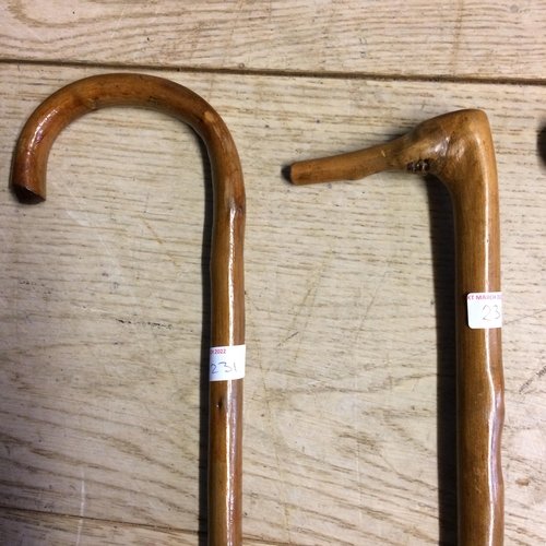 231 - Quantity of walking canes, shooting stick and horn handled cane  (7)