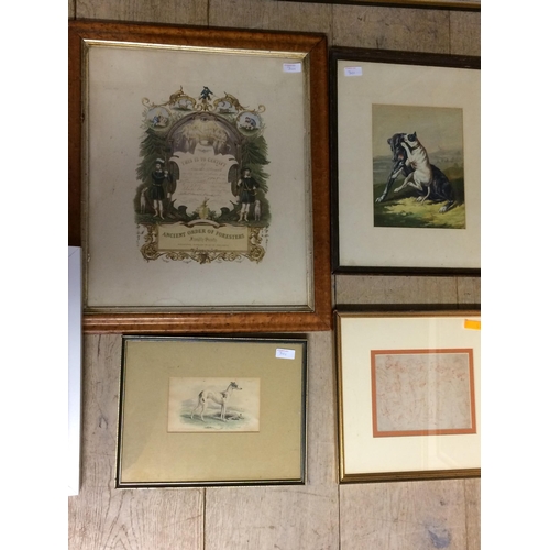 301 - Triptych framed limited edition prints by Jane Wheeler, dated 1985. 94cmH x 65 each overall, and sig... 