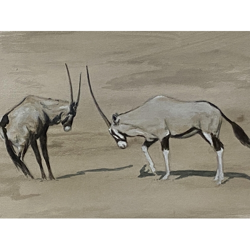 375 - CLAIRE SANDERS, Watercolour, set of 3 of Ibex, signed in pencil lower right, framed and glazed, 36 x... 