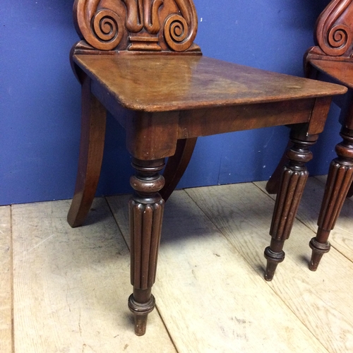 540 - Pair of mahogany shield shaped back hall chairs, with some wear and fading