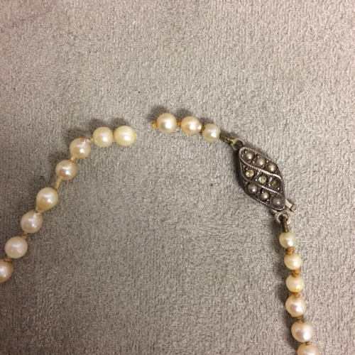 98 - Strand of graduated cultured pearls, 37cm