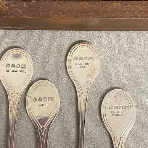 63 - Wooden cased set of spoons 