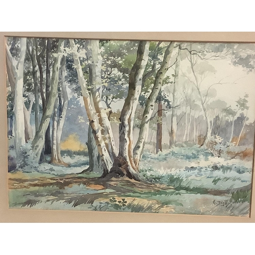 453 - G DIGBY, English school, watercolour of a woodland scene in a glazed frame, 27 x 37cm; and a glazed ... 