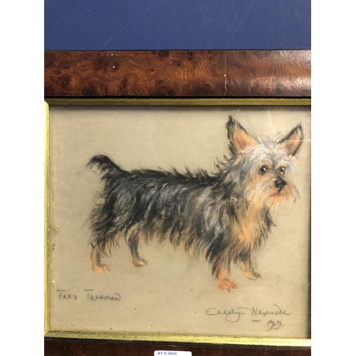 415 - Pair of glazed framed charcoal/chalk portrait drawings of terriers, one signed lower left Harvey Smi... 