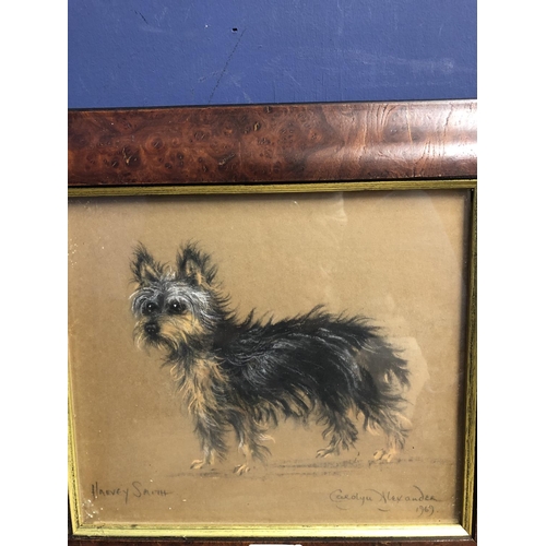 415 - Pair of glazed framed charcoal/chalk portrait drawings of terriers, one signed lower left Harvey Smi... 