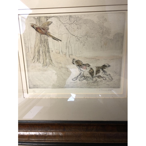 417 - After George Vernon Stokes (173-1954), set of 4 sporting prints, of gun dogs and hounds, image 20 x ... 