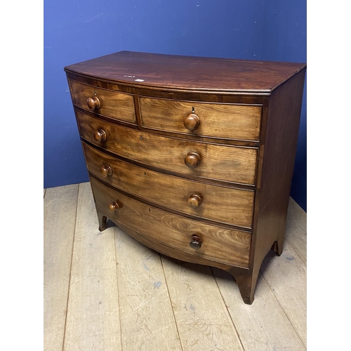 512 - Victorian mahogany bow front chest of 2 short over 3 long drawers with wooden knob handles