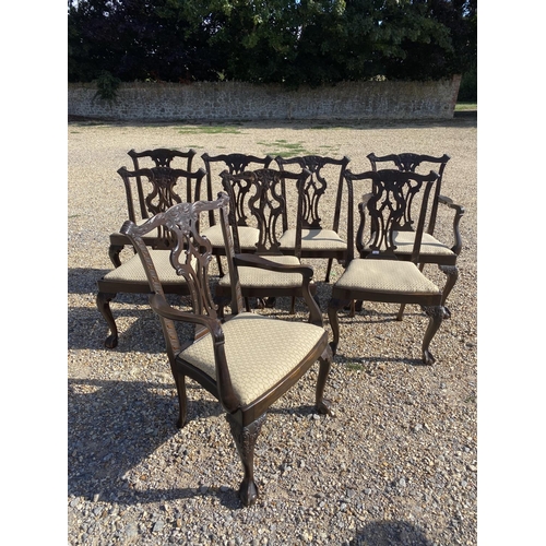 569 - Set of  (6 plus 2 carvers) Chippendale style mahogany dining chairs